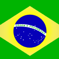 Brazilian Grand Prix flag