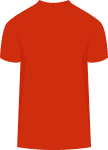 Wales jersey